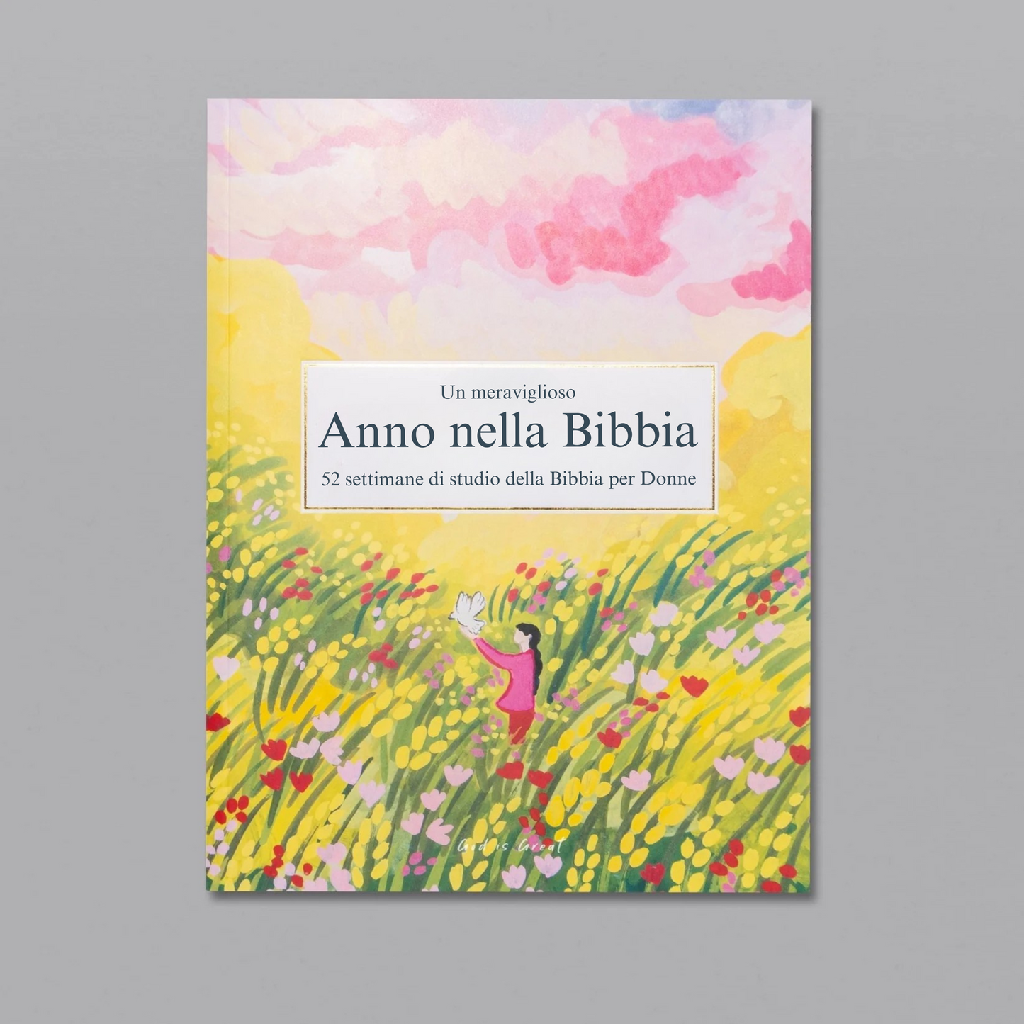 Un Meraviglioso Anno nello Studio della Bibbia