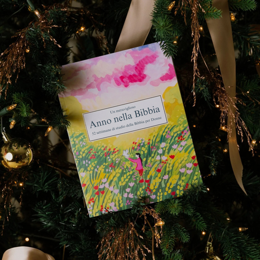 Un Meraviglioso Anno nello Studio della Bibbia